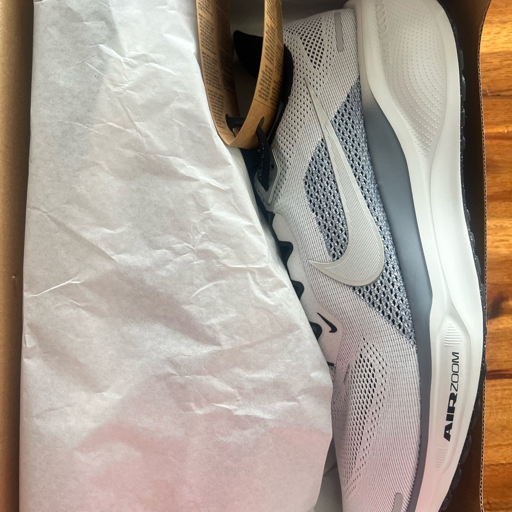 Nike Air Zoom Pegasus 41 in Metallic Silver